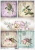 carte postale, flowers, roses, hydrangeas, magnolias, lilacs, backgrounds, old postcards, Blumen, Rosen, Hortensien, Magnolien, Flieder, Hintergrund, Hintergründe, alte Postkarten, flores, rosas, hortensias, magnolias